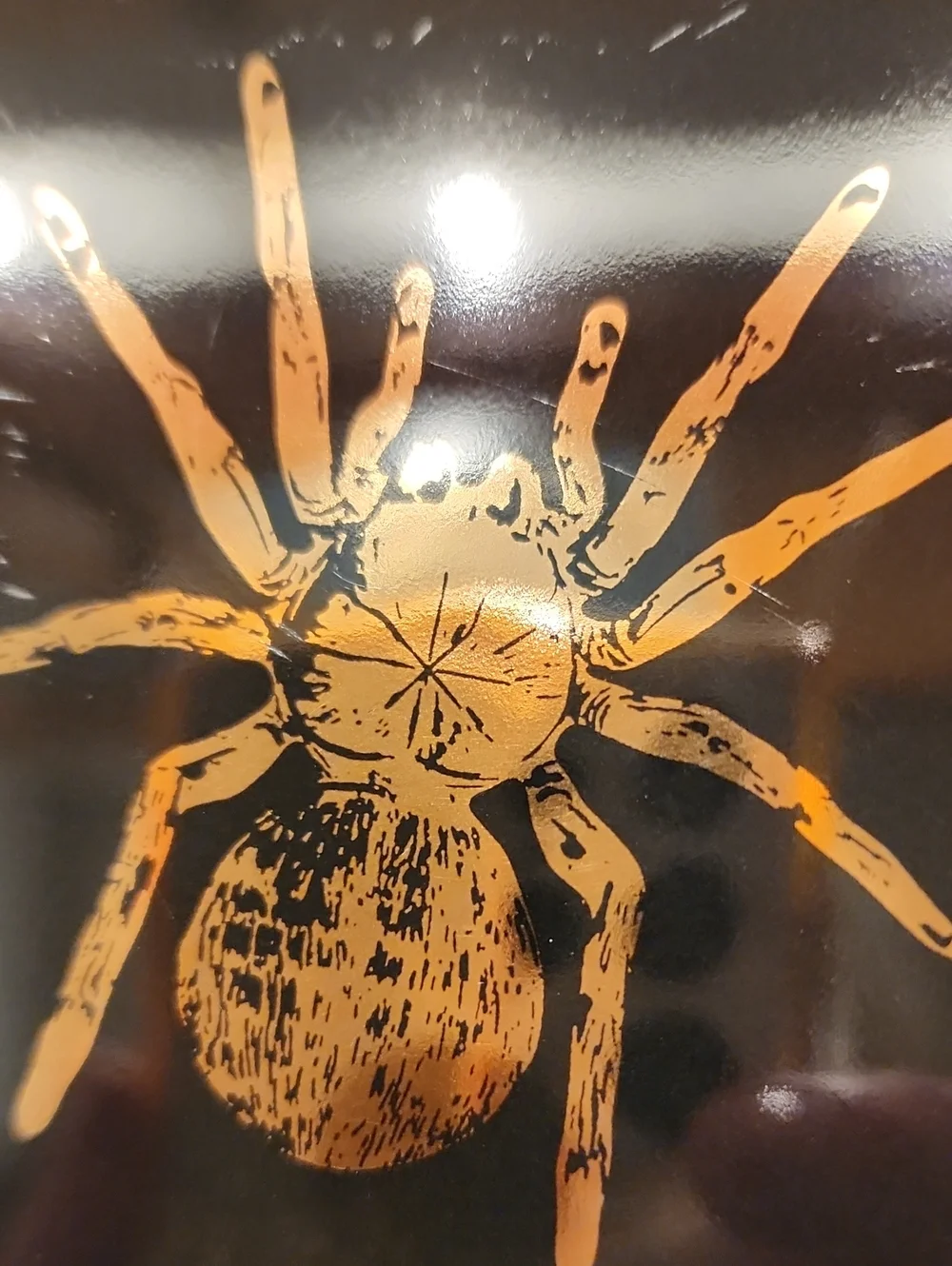 Set Of 3 Catherine Martin Spider Plates